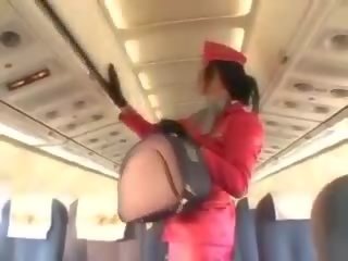 Sexy stjuardesë duke thithur kokosh para cunnilingus